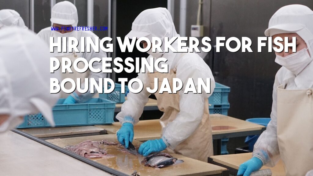 Japan Hiring Workers for Fish Processing at least High School under