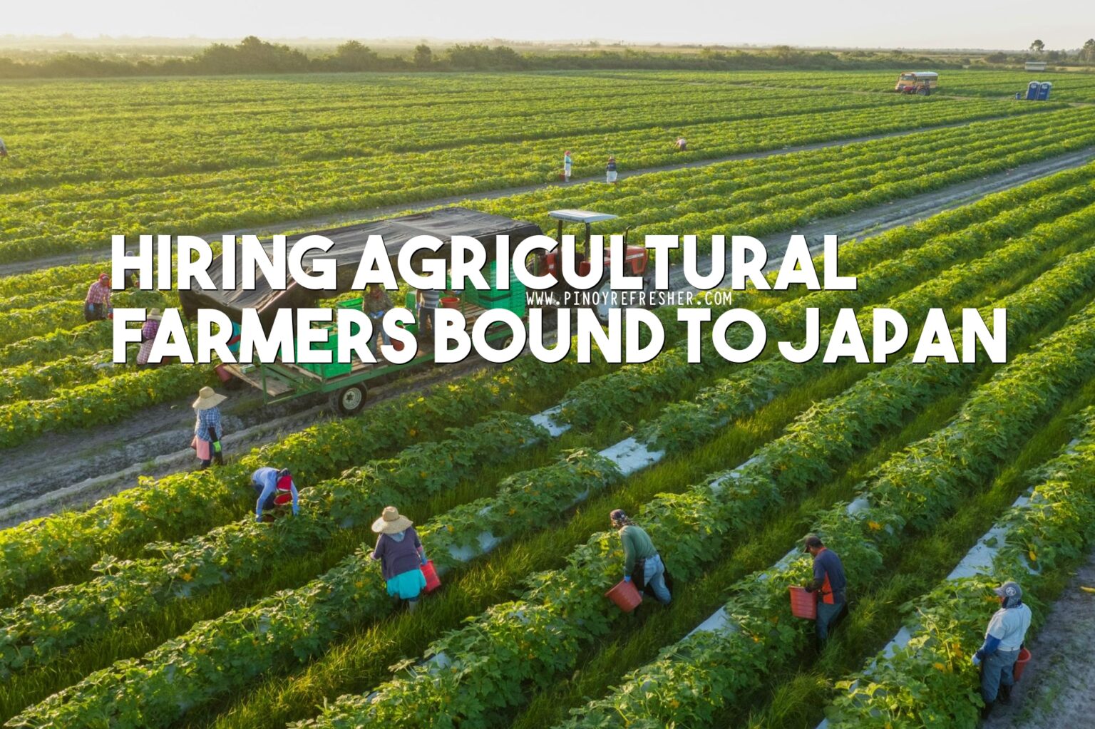 japan-hiring-agricultural-farmers-at-least-high-school-under-rhv